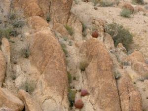 49 Palms Oasis Rock Formations